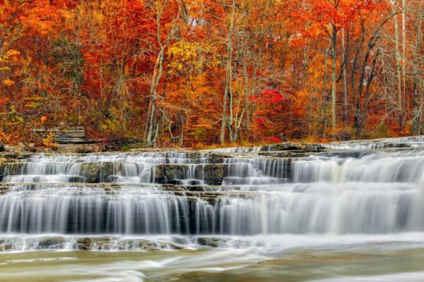 Gorgeous Things To Do In Fort Wayne
