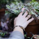 Stylish and Functional: The Watch Ring Trend