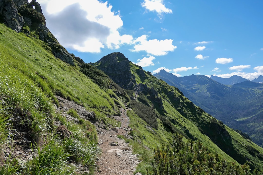 Remy on the Trails: Exploring the Great Outdoors