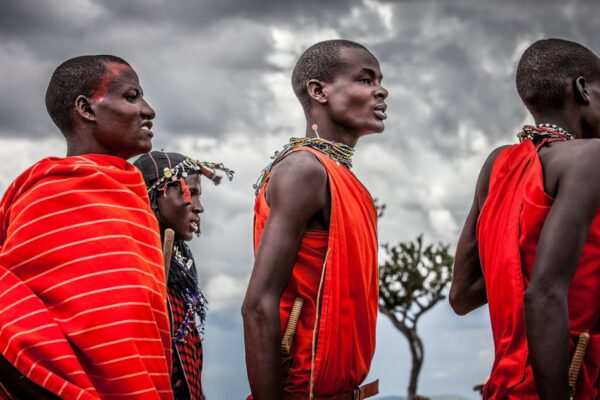 Discover the Fascinating World of Bongobongo
